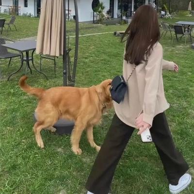 风中之声